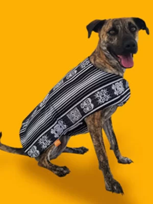 Black and white poncho 1
