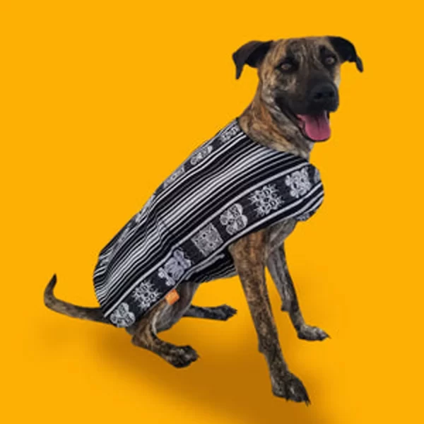 Black and white poncho 1