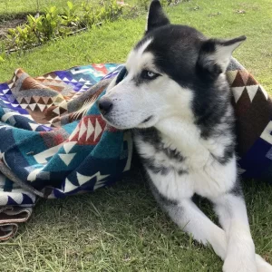 Blue Brown Geometic Blanket 3