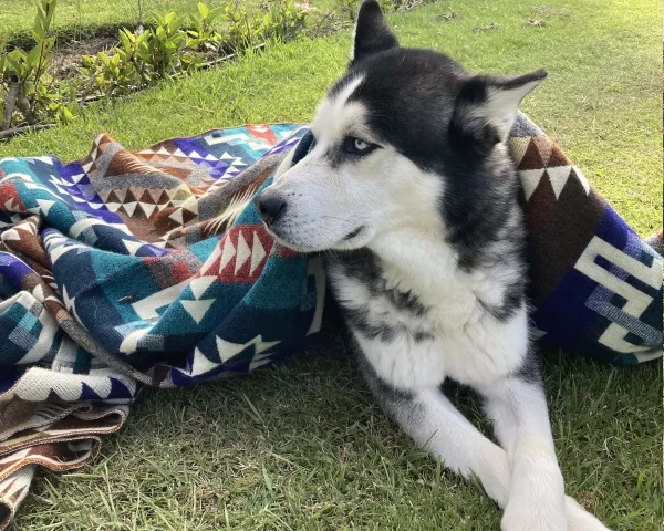 Blue Brown Geometic Blanket 3