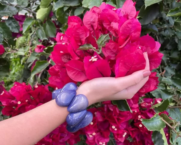 Blue Purple   Tagua 2