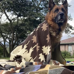 Brown Geometic Blanket 3