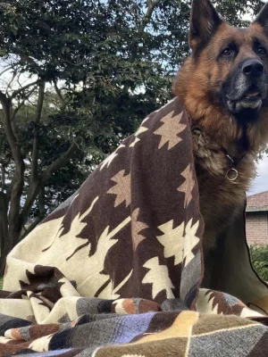 Brown Geometic Blanket 3