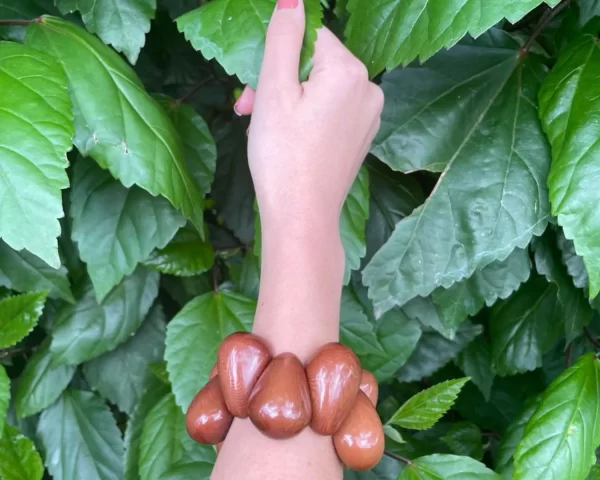 Brown   Tagua 2