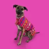 Classic Fuchsia Poncho 1