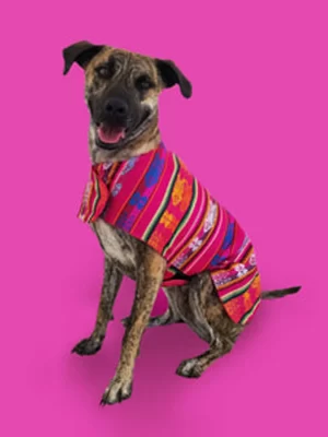 Classic Fuchsia Poncho 1