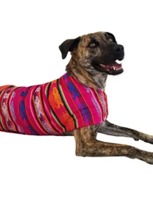 Classic Fuchsia Poncho 2
