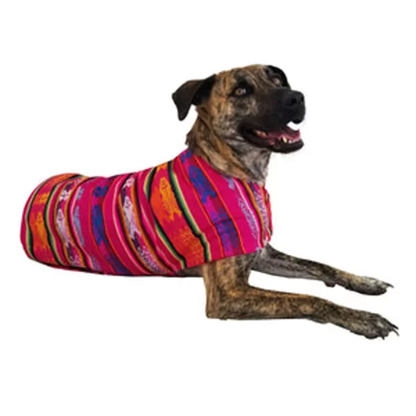 Classic Fuchsia Poncho 2