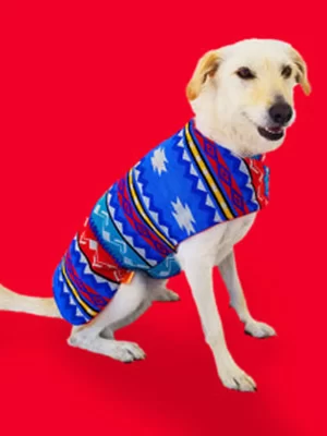 Fire Poncho 1