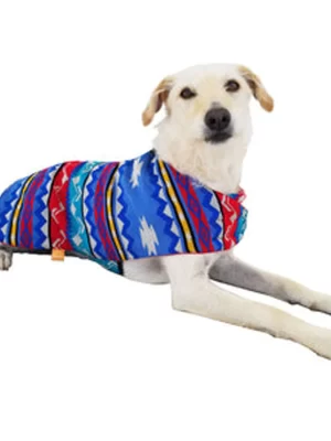 Fire Poncho 2