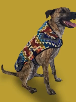Hood crosses Poncho 1