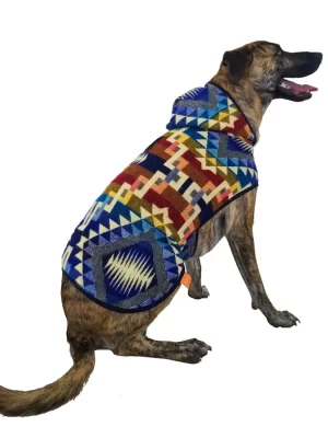 Hood crosses Poncho 2