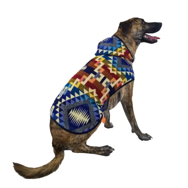 Hood crosses Poncho 2