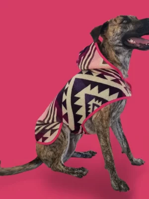 Hood violet Poncho 1