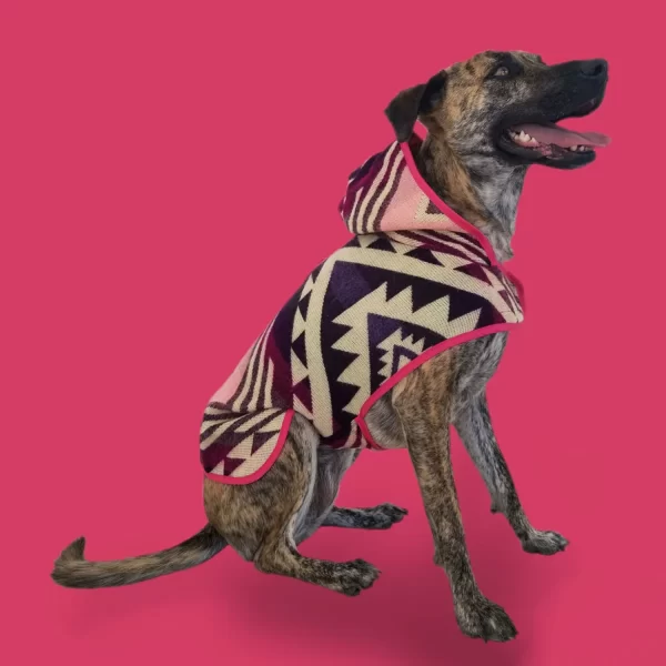 Hood violet Poncho 1