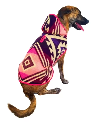Hood violet Poncho 2