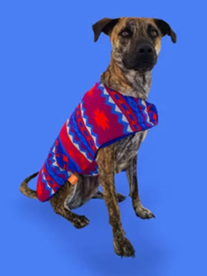 Ice Poncho 1
