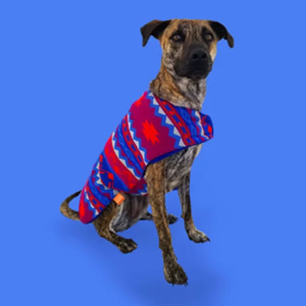 Ice Poncho 1