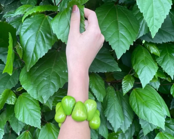 Light Green   Tagua 3