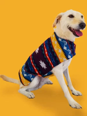 Mountain Poncho 1
