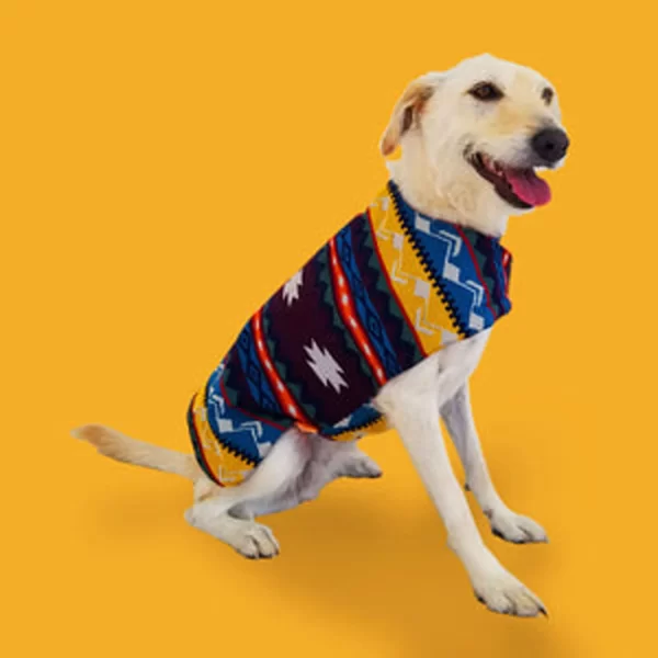Mountain Poncho 1