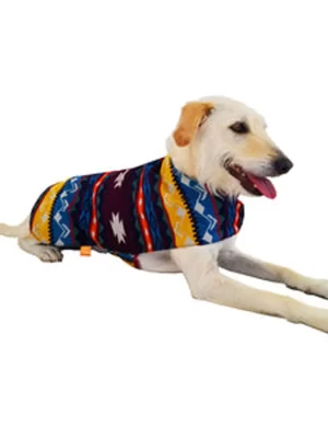 Mountain Poncho 2