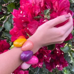 Multicolored  Tagua 2 jpg
