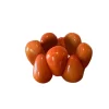 Orange Tagua 1