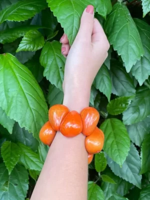 Orange Tagua 3