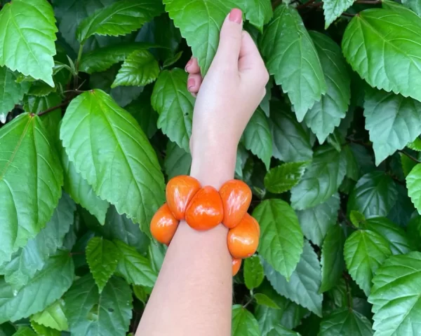 Orange Tagua 3