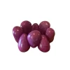 Purple Tagua 1