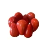 Red Tagua 1