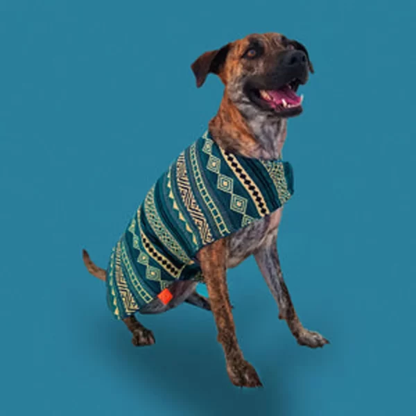 Rhombuses Poncho 1