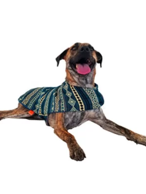 Rhombuses Poncho 2