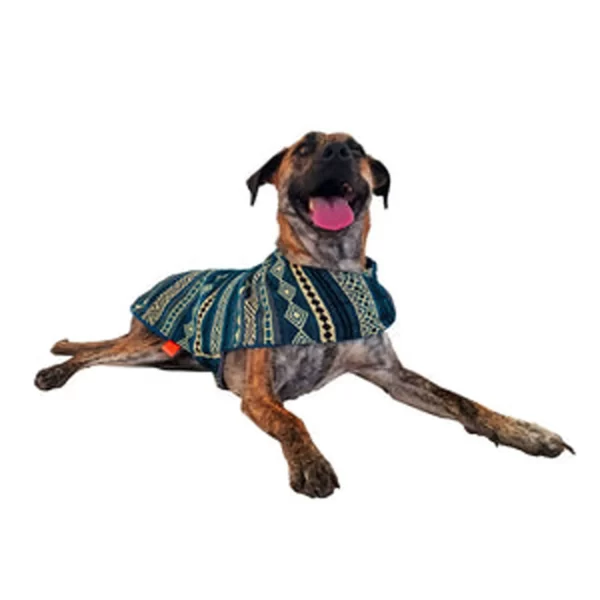 Rhombuses Poncho 2