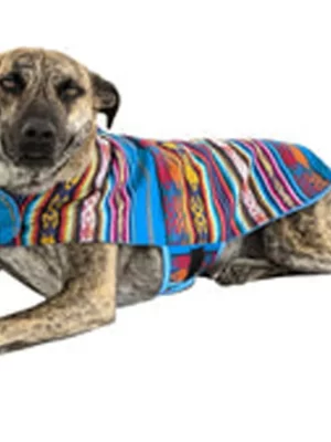 Sky Blue Poncho 2