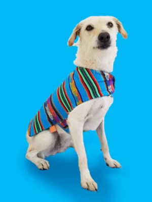 Turquoise Poncho 1