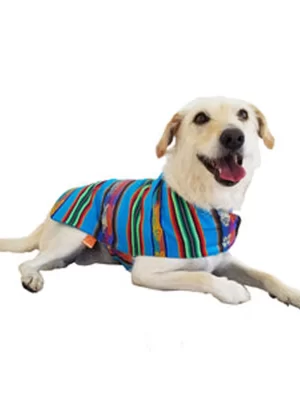 Turquoise Poncho 2