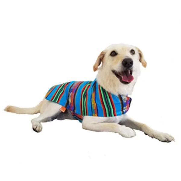 Turquoise Poncho 2