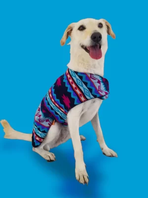 Water Poncho 1