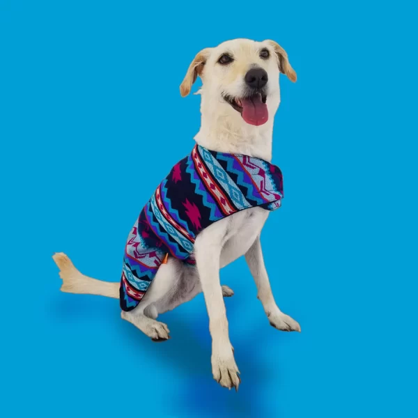 Water Poncho 1