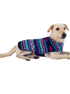 Water Poncho 3