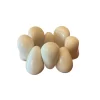 White   Tagua 1