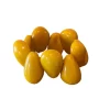 Yellow   Tagua 1