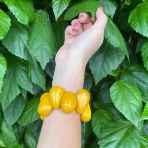 Yellow   Tagua 2
