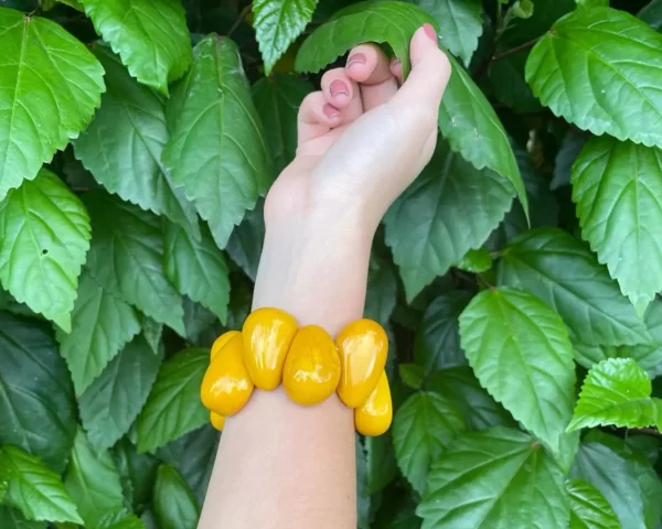 Yellow   Tagua 2